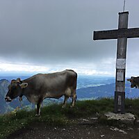 Hey, geh mal weg!